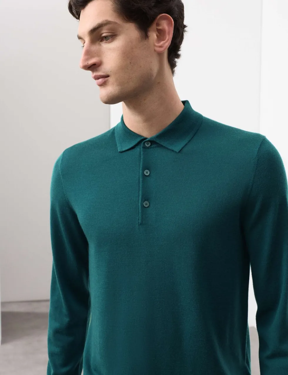 Pure Extra Fine Merino Wool Polo Shirt