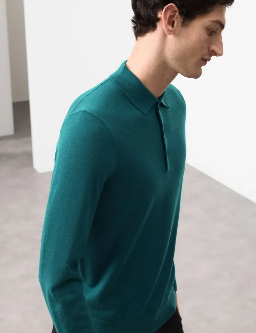 Pure Extra Fine Merino Wool Polo Shirt