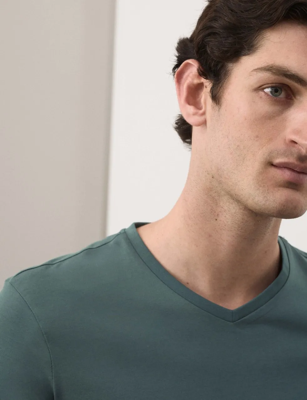 Pure Supima® Cotton V-Neck T-Shirt