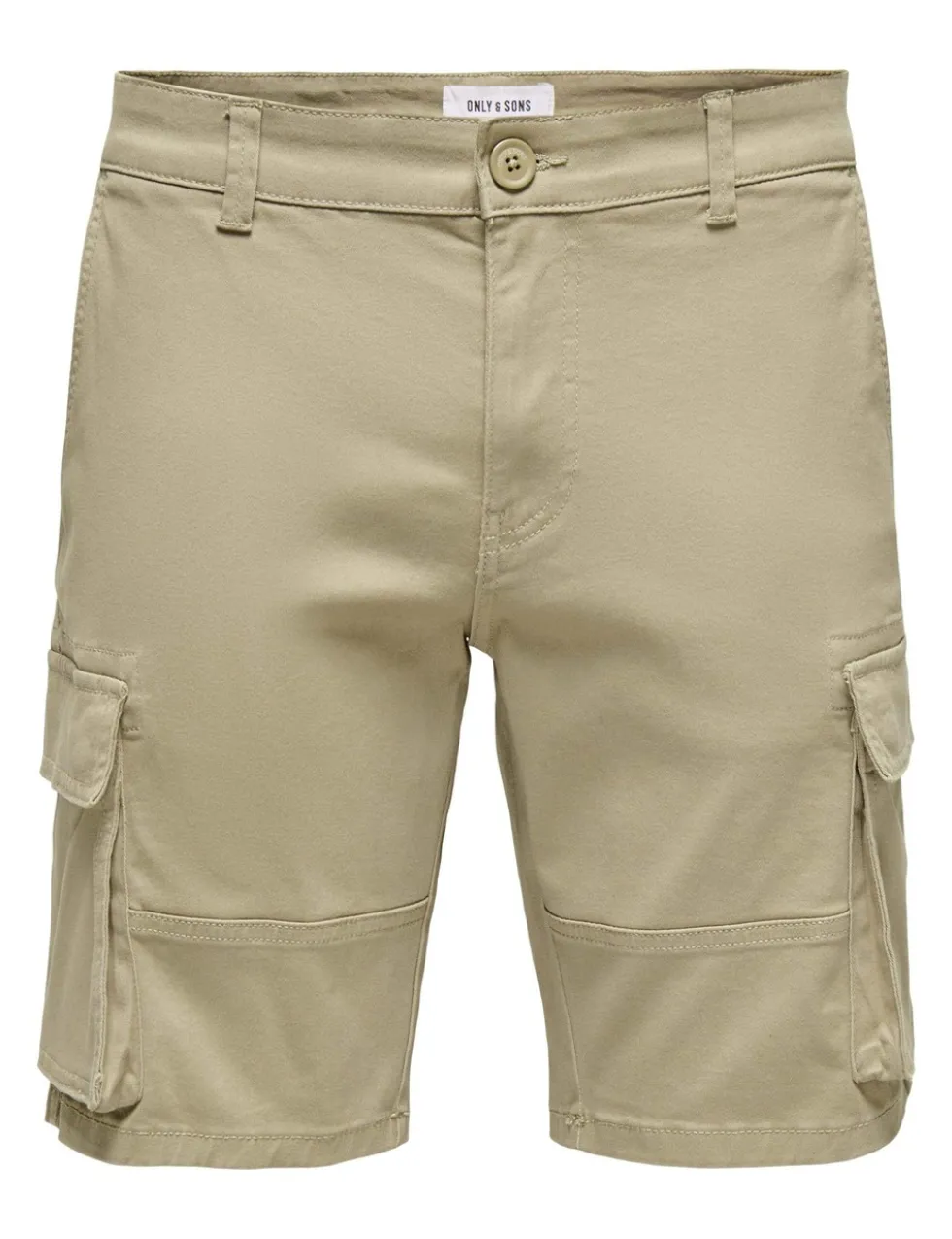 Regular Fit Cargo Shorts