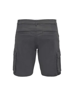 Regular Fit Cargo Shorts