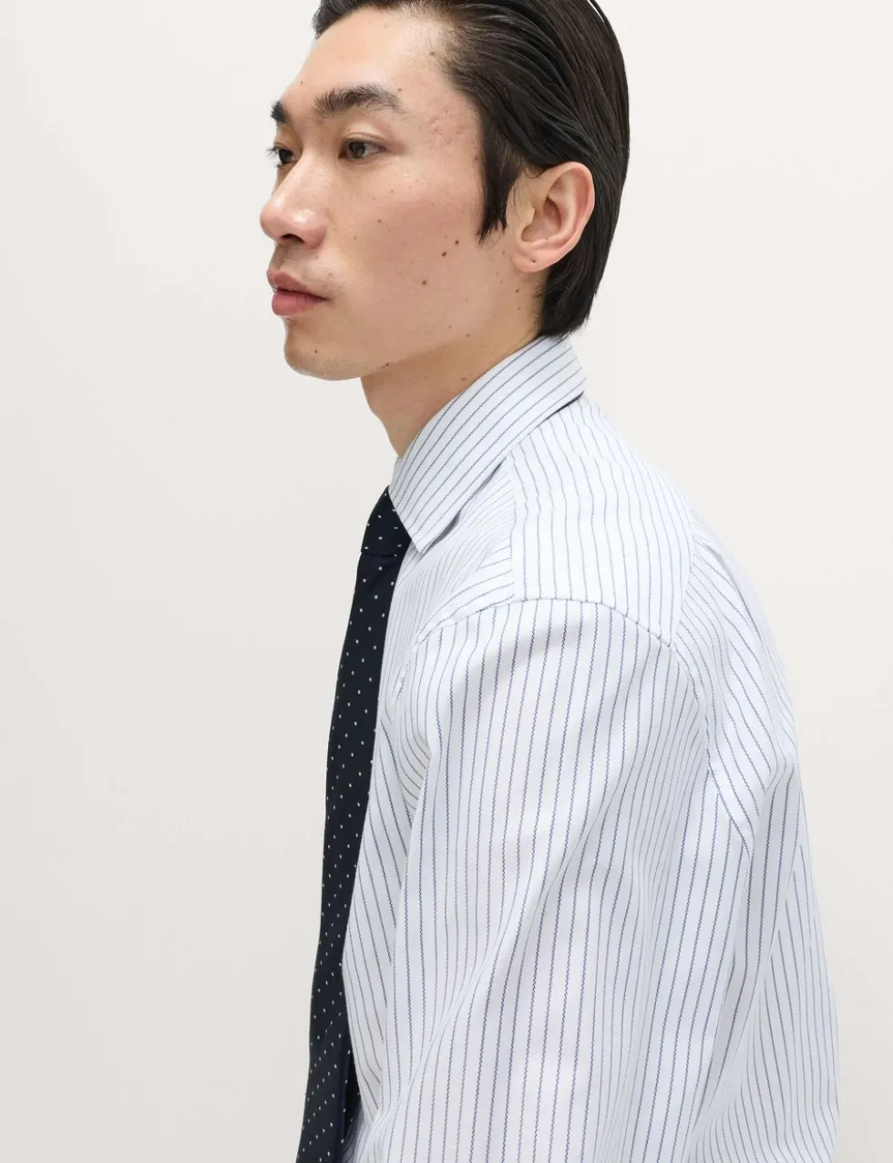 Regular Fit Luxury Pure Cotton Striped Shirt