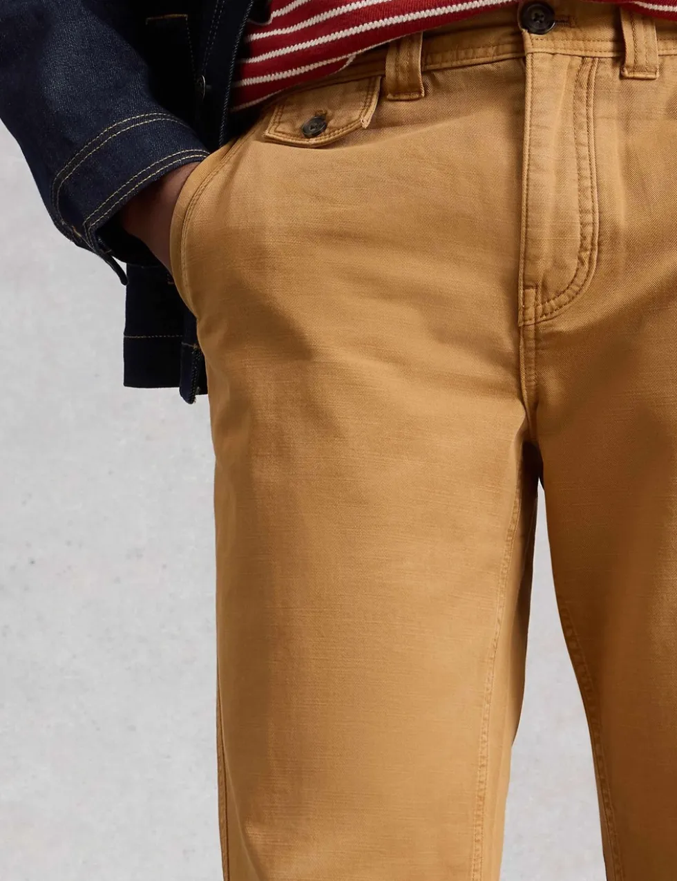Regular Fit Pure Cotton Chinos