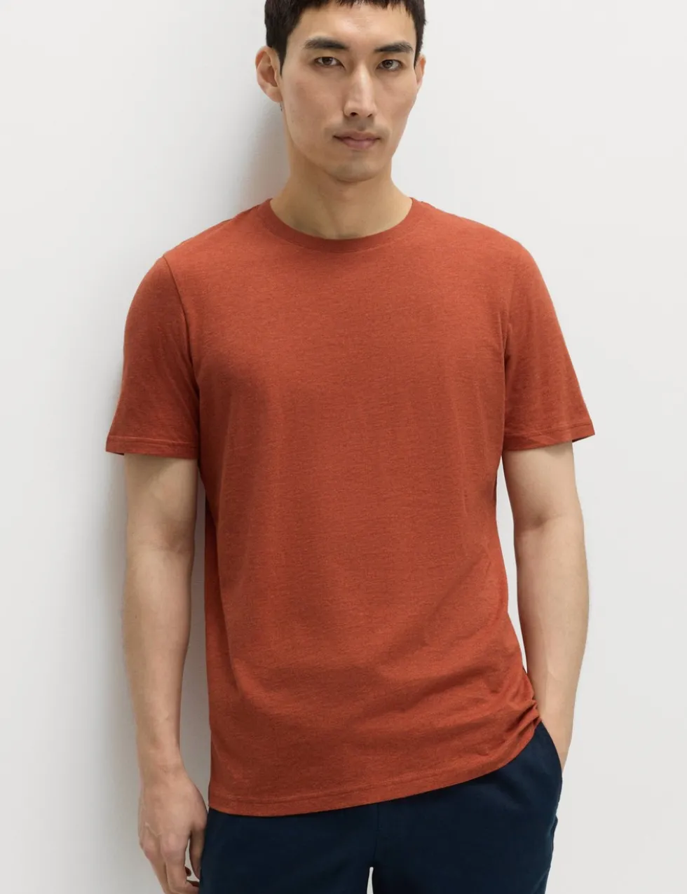 Regular Fit Pure Cotton Crew Neck T-Shirt