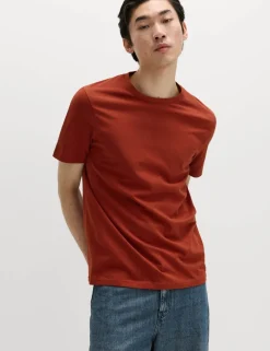 Regular Fit Pure Cotton Crew Neck T-Shirt