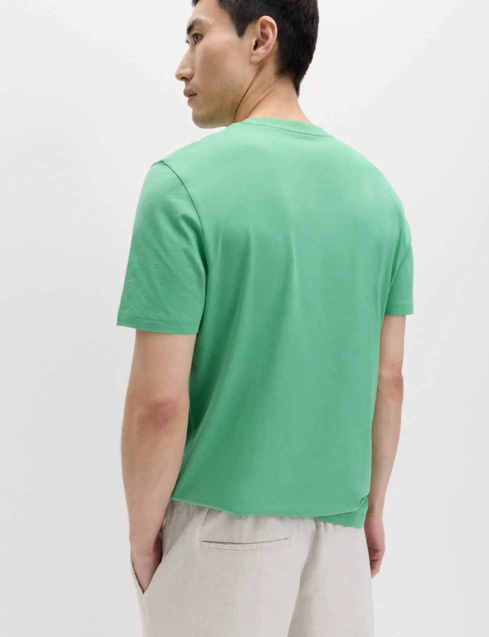 Regular Fit Pure Cotton Crew Neck T-Shirt