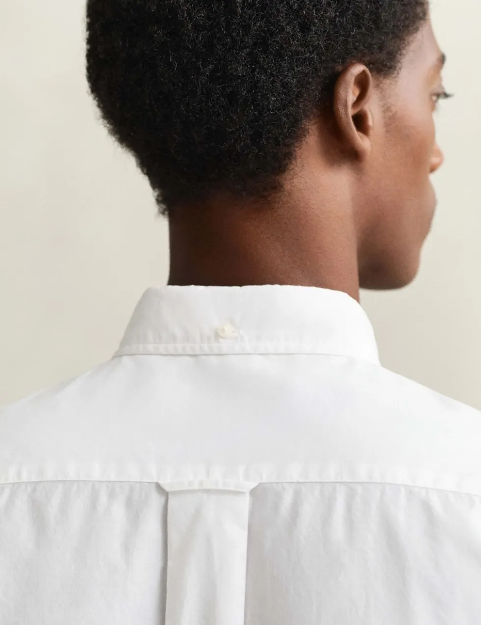 Regular Fit Pure Cotton Classic Poplin Shirt