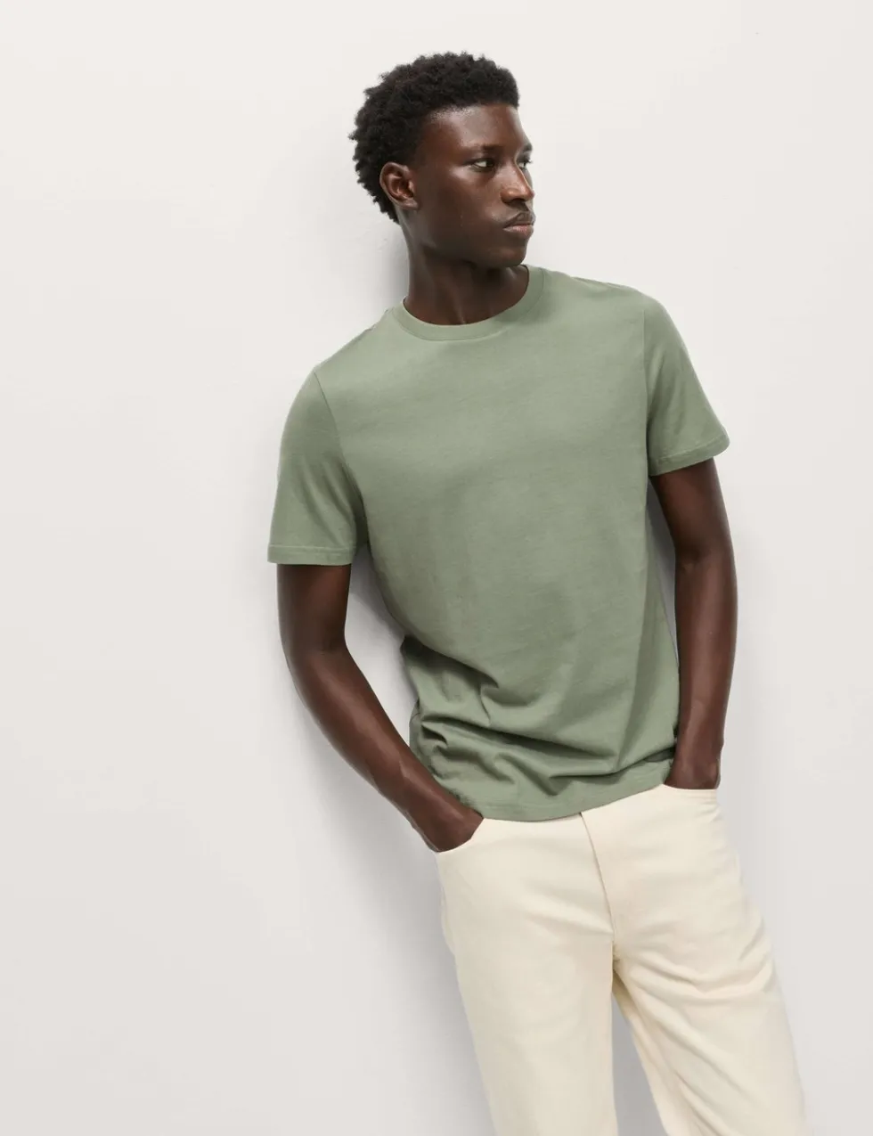 Regular Fit Pure Cotton Crew Neck T-Shirt