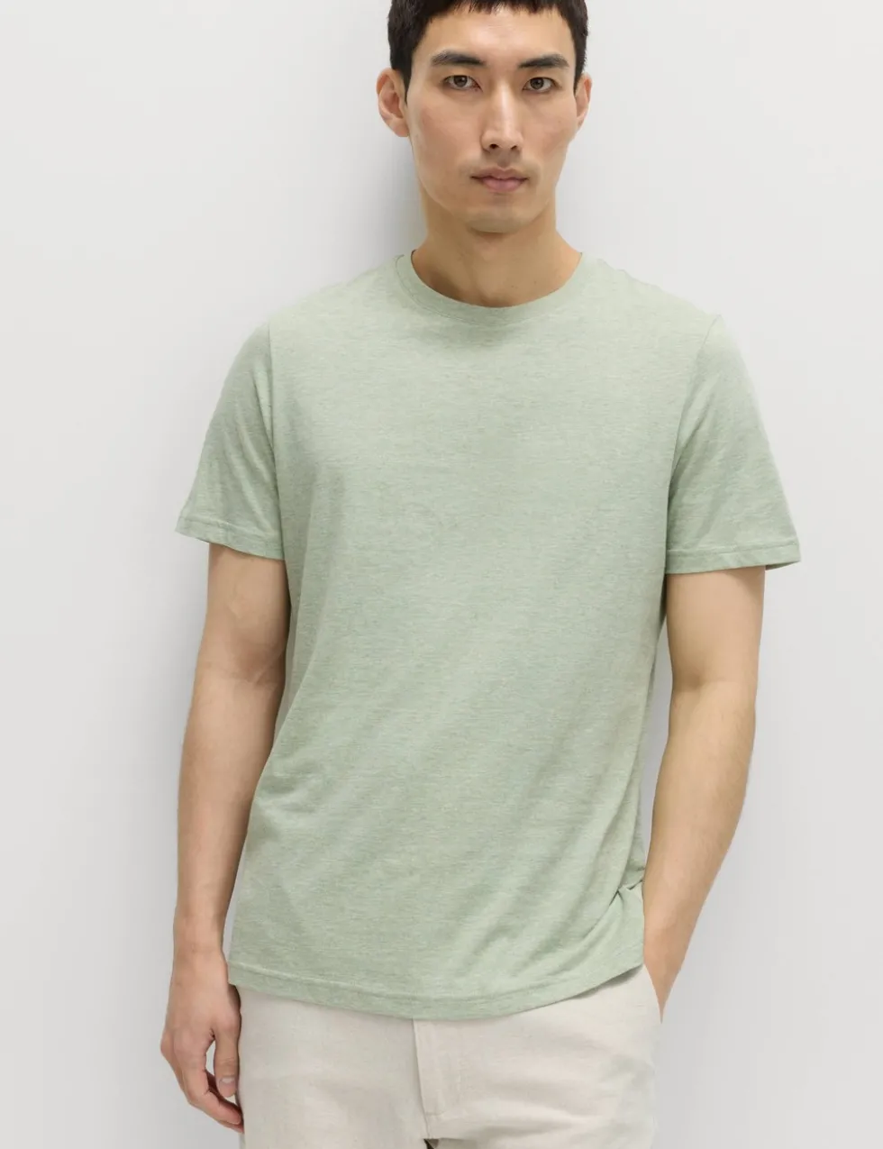 Regular Fit Pure Cotton Crew Neck T-Shirt
