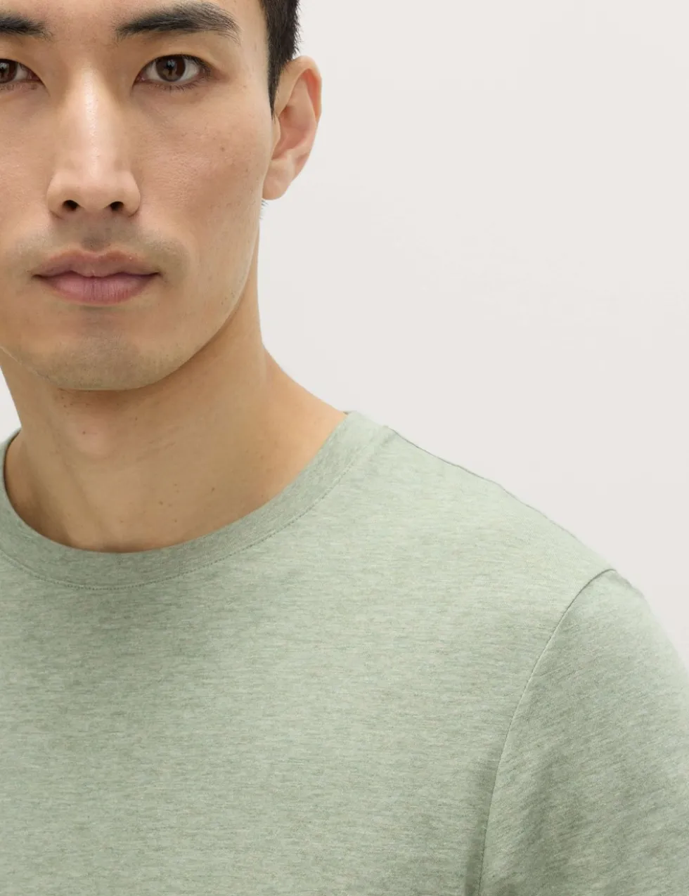 Regular Fit Pure Cotton Crew Neck T-Shirt
