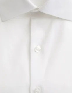 Regular Fit Pure Cotton Shirt
