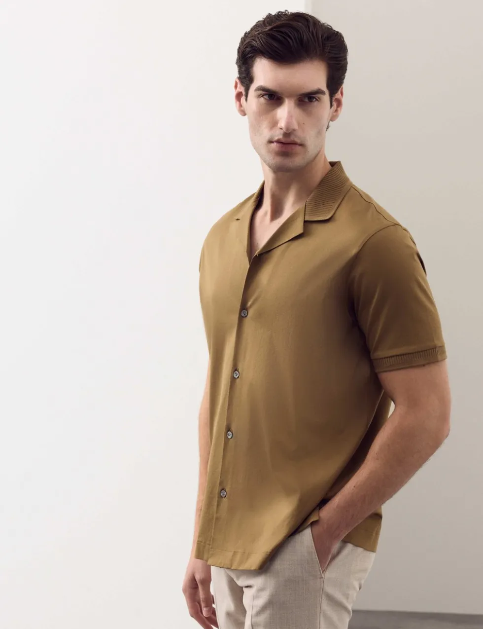 Regular Fit Pure Cotton Short Sleeve Shirt