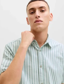 Regular Fit Striped Short Sleeve Oxford Shirt