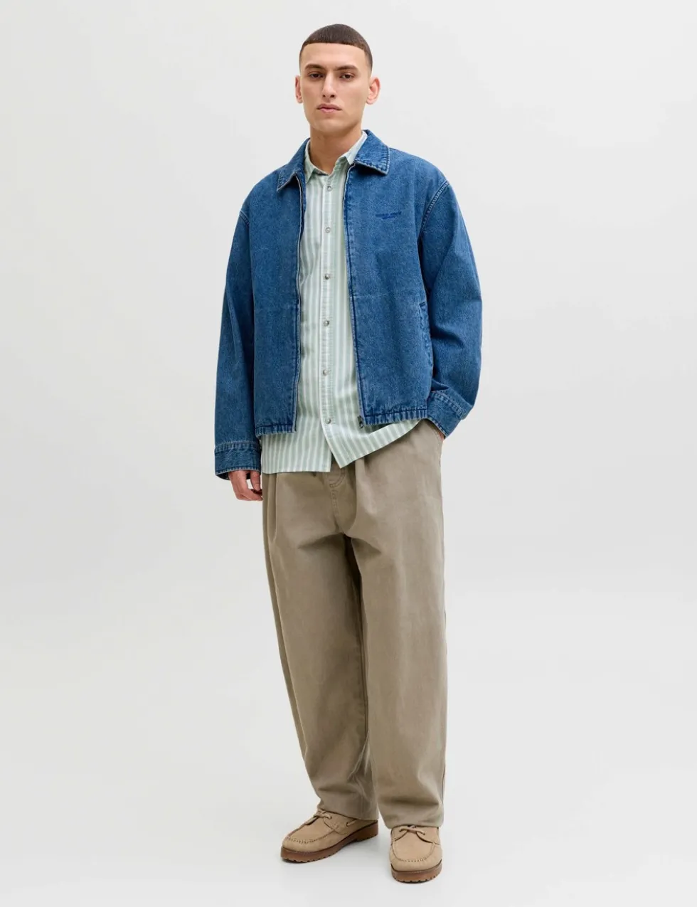 Regular Fit Striped Short Sleeve Oxford Shirt