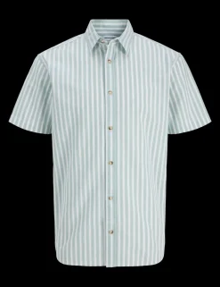 Regular Fit Striped Short Sleeve Oxford Shirt