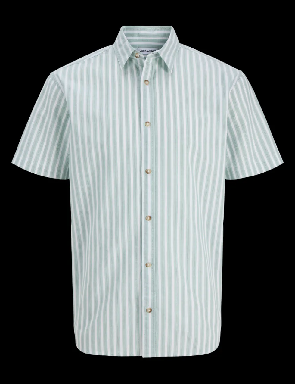 Regular Fit Striped Short Sleeve Oxford Shirt