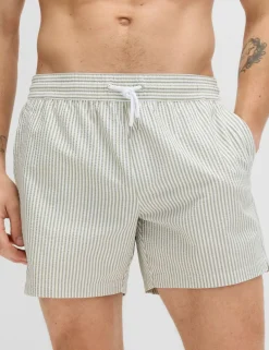 Seersucker Swim Shorts