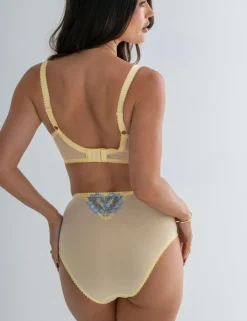 Sofia Lace Embroidered Full Briefs
