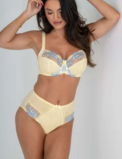 Sofia Lace Embroidered Full Briefs