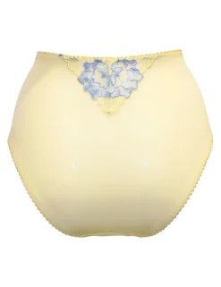 Sofia Lace Embroidered Full Briefs