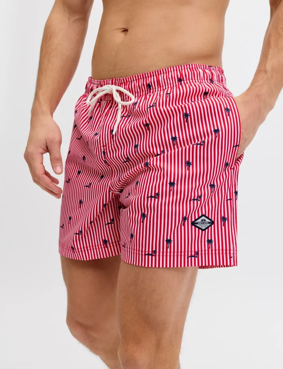 Striped Swim Shorts