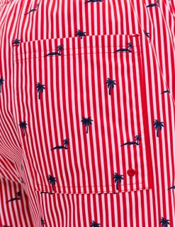 Striped Swim Shorts