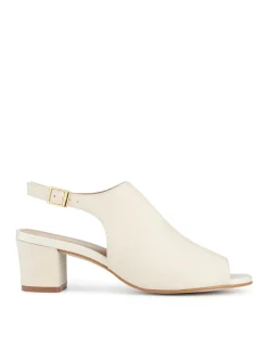 Suede Kitten Heel Pointed Court Shoes