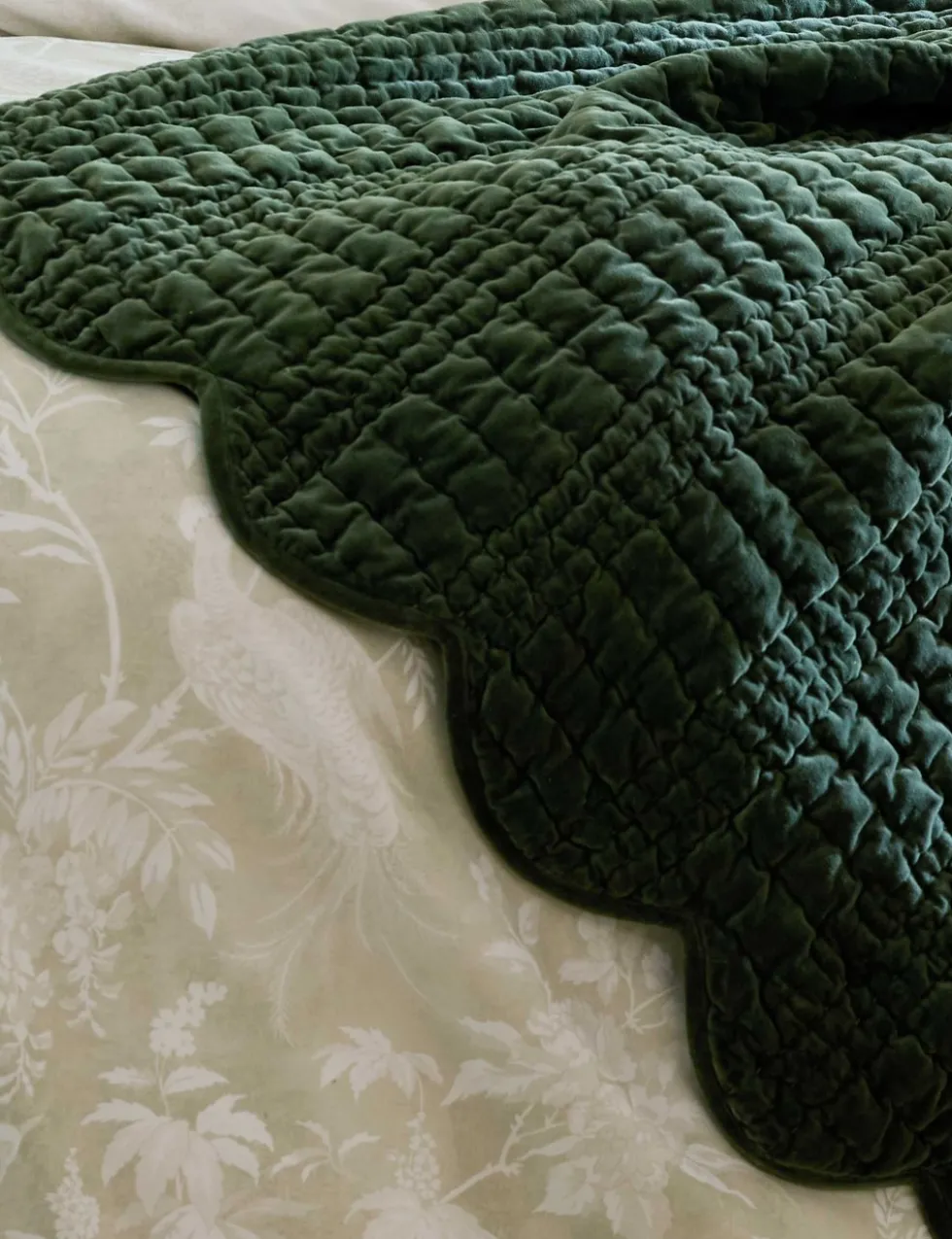 Velvet Scalloped Bedspread
